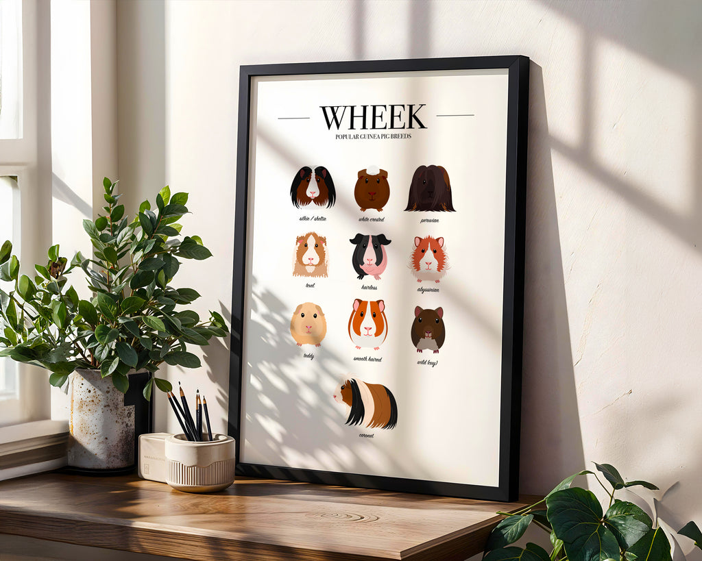 Guinea Pig Breeds Animal Print (A3, A4, A5, 5x7, 4x6)