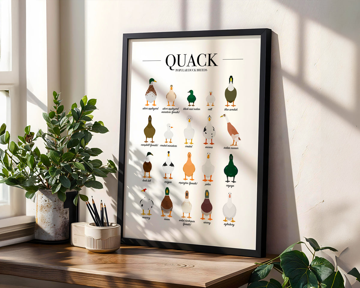 Duck Breeds Animal Print (A3, A4, A5, 5x7, 4x6)
