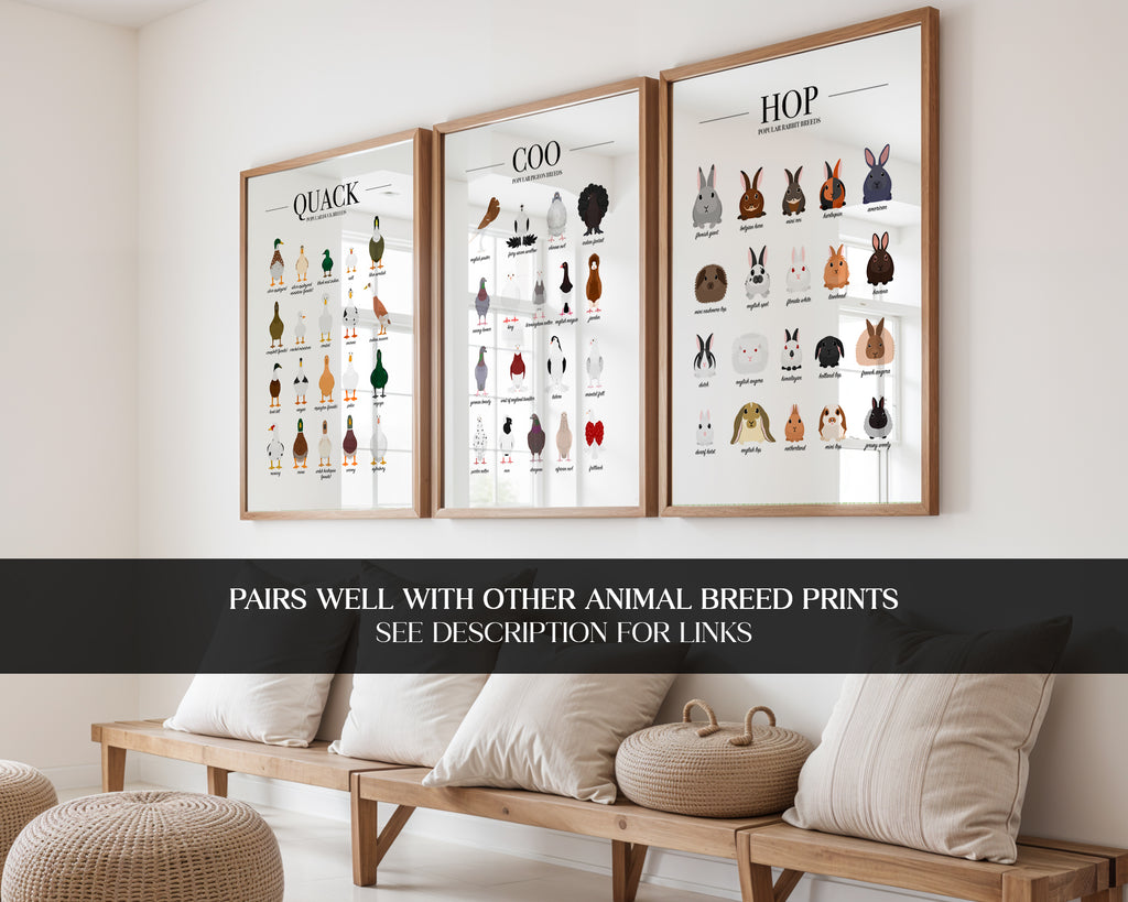 Pigeon Breeds Animal Print (A3, A4, A5, 5x7, 4x6)