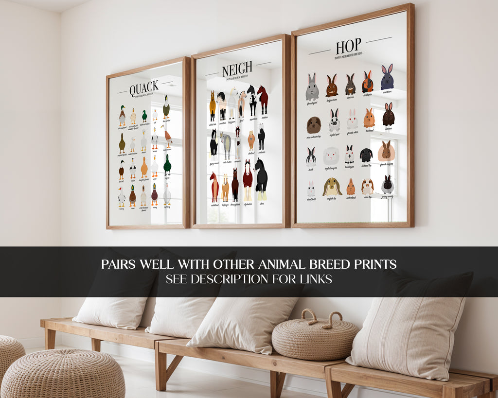 Horse Breeds Animal Print (A3, A4, A5, 5x7, 4x6)