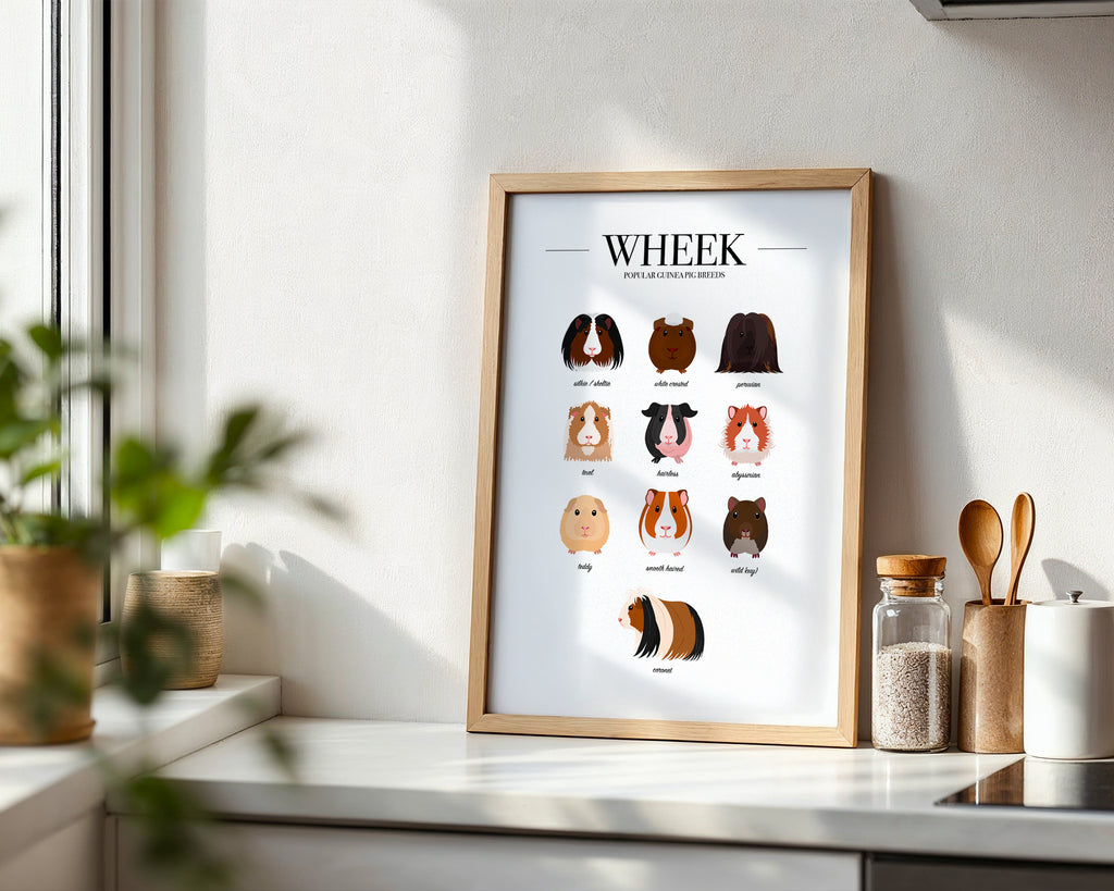 Guinea Pig Breeds Animal Print (A3, A4, A5, 5x7, 4x6)