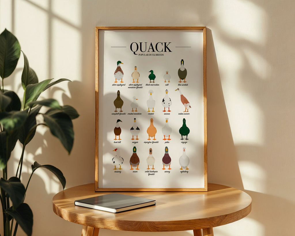 Duck Breeds Animal Print (A3, A4, A5, 5x7, 4x6)