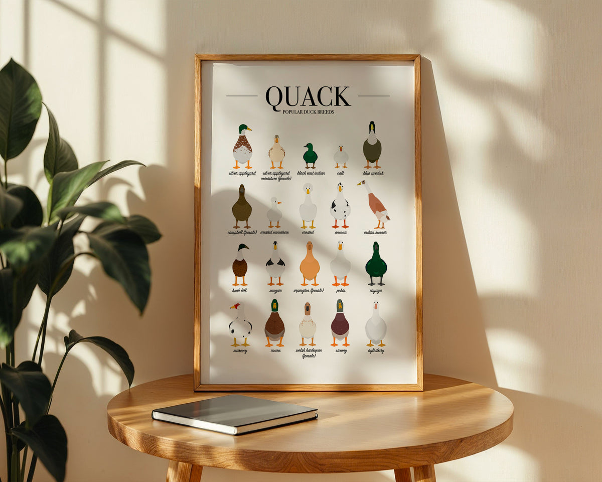 Duck Breeds Animal Print (A3, A4, A5, 5x7, 4x6)