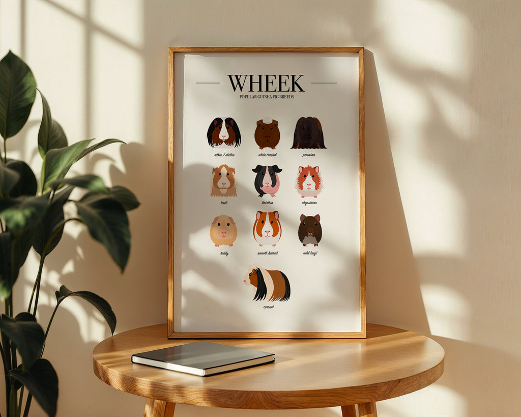 Guinea Pig Breeds Animal Print (A3, A4, A5, 5x7, 4x6)