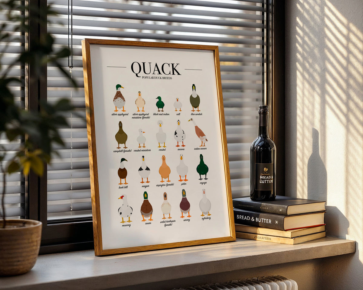Duck Breeds Animal Print (A3, A4, A5, 5x7, 4x6)