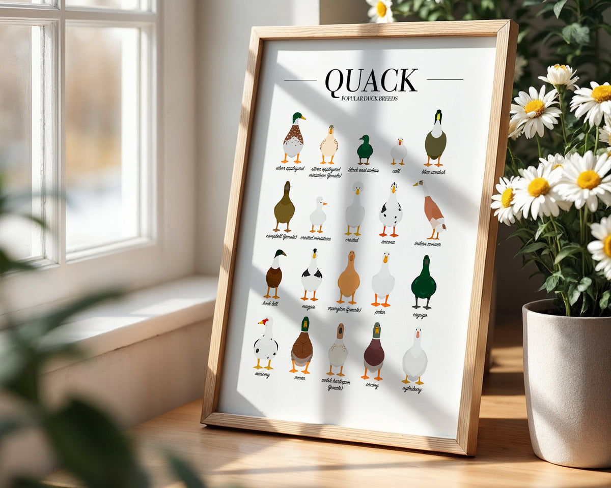 Duck Breeds Animal Print (A3, A4, A5, 5x7, 4x6)