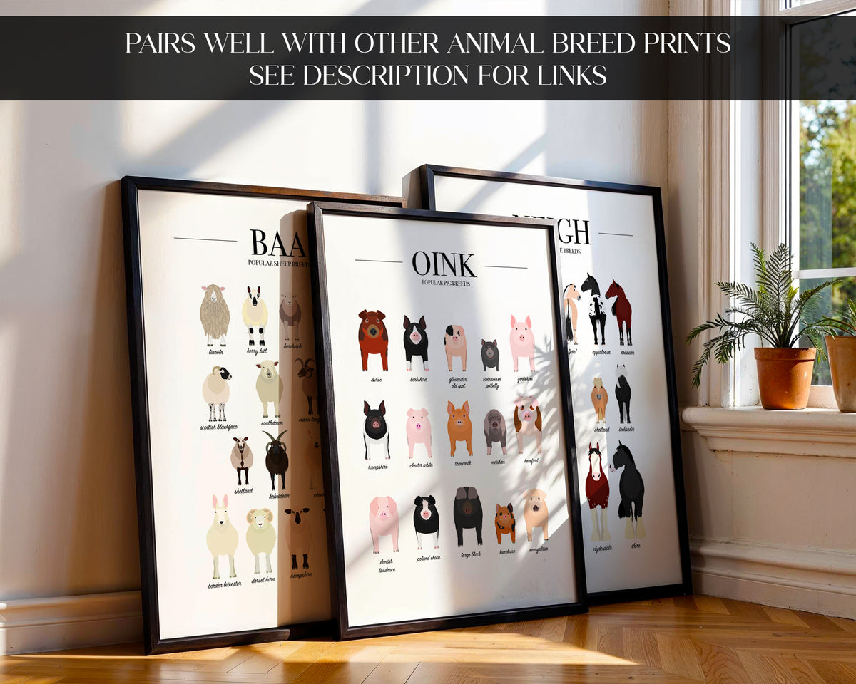 Pig Breeds Animal Print (A3, A4, A5, 5x7, 4x6)