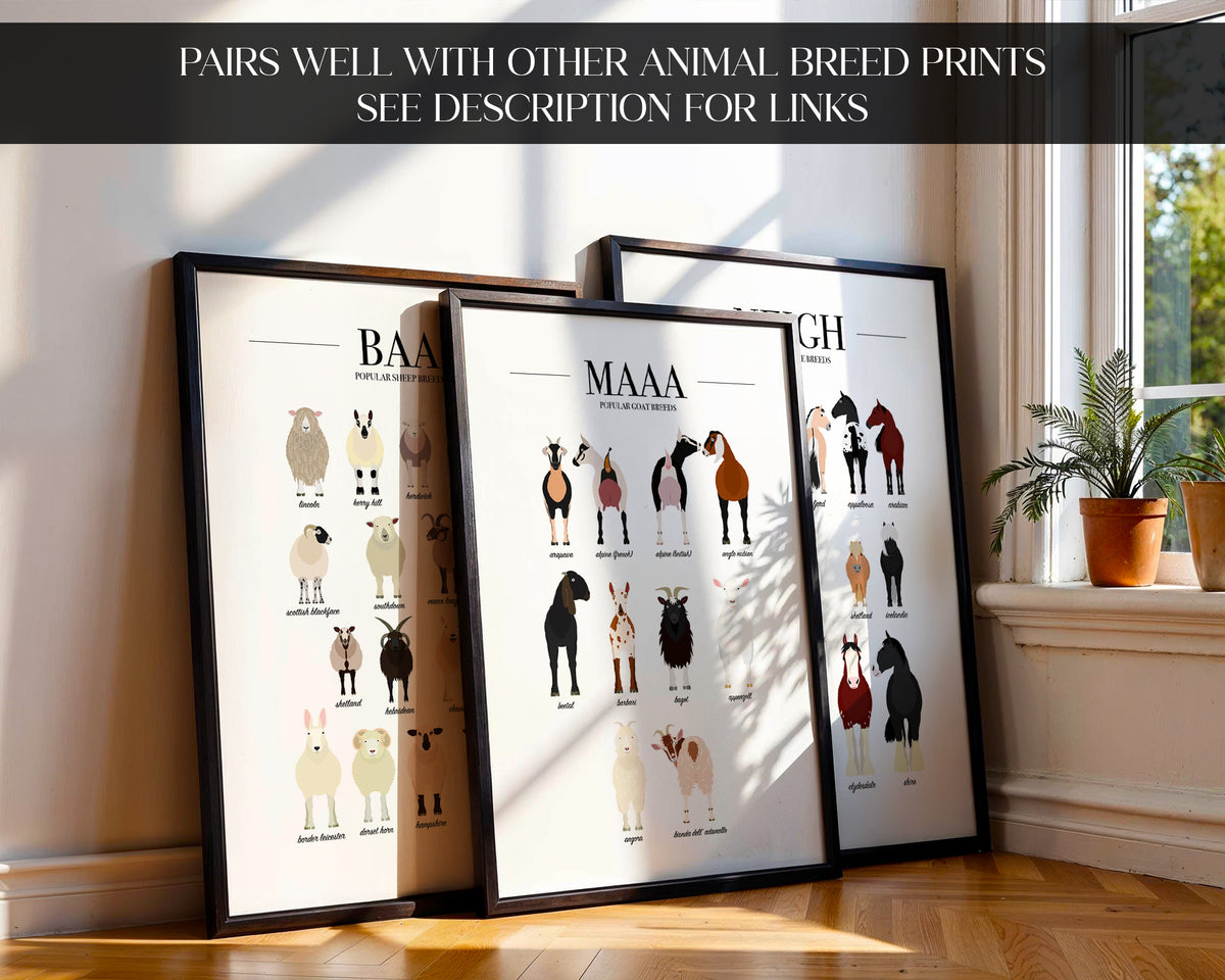 Goat Breeds Animal Print (A3, A4, A5, 5x7, 4x6)