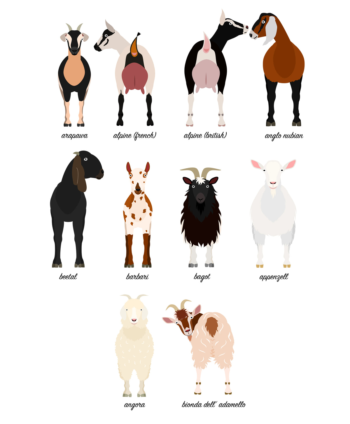Goat Breeds Animal Print (A3, A4, A5, 5x7, 4x6)
