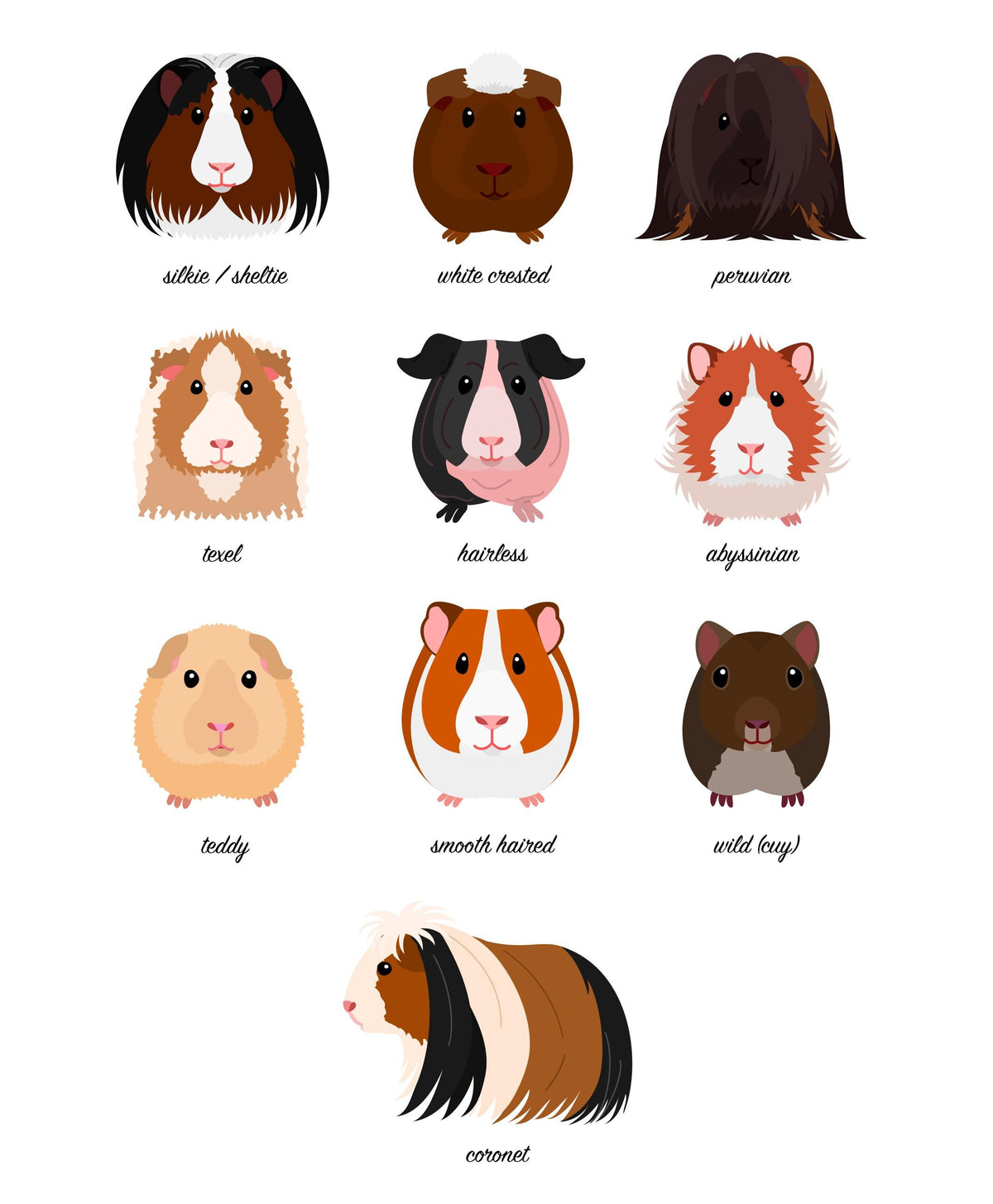 Guinea Pig Prints, Animal Wall Decor, Guinea Pig Wall Art, Animal Wall Hangings, Pet Owner Gifts, Veterinarian Clinic Wall Art A5 A4 A3