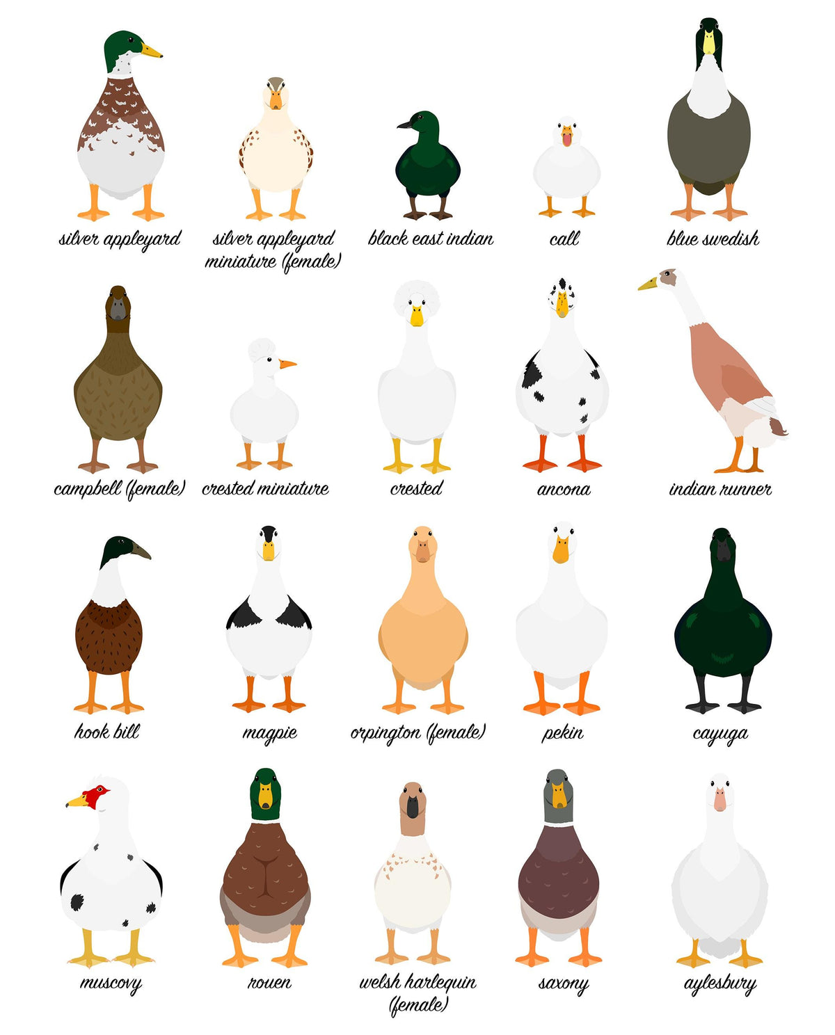 Duck Prints, Kitchen Wall Decor, Duck Wall Art Prints, Duck Illustration, Animal Lover Gifts for Women, Animal Playroom Poster A5 A4 A3
