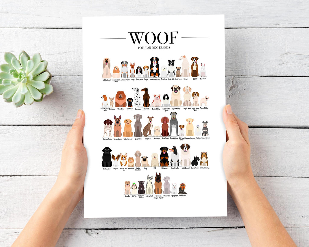 Dog Breeds Art Print, Kitchen Gallery Wall Decor, Birthday Gift for a Animal Lover and a Vet Clinic, Large Dog Poster Print, A3, A4, A5