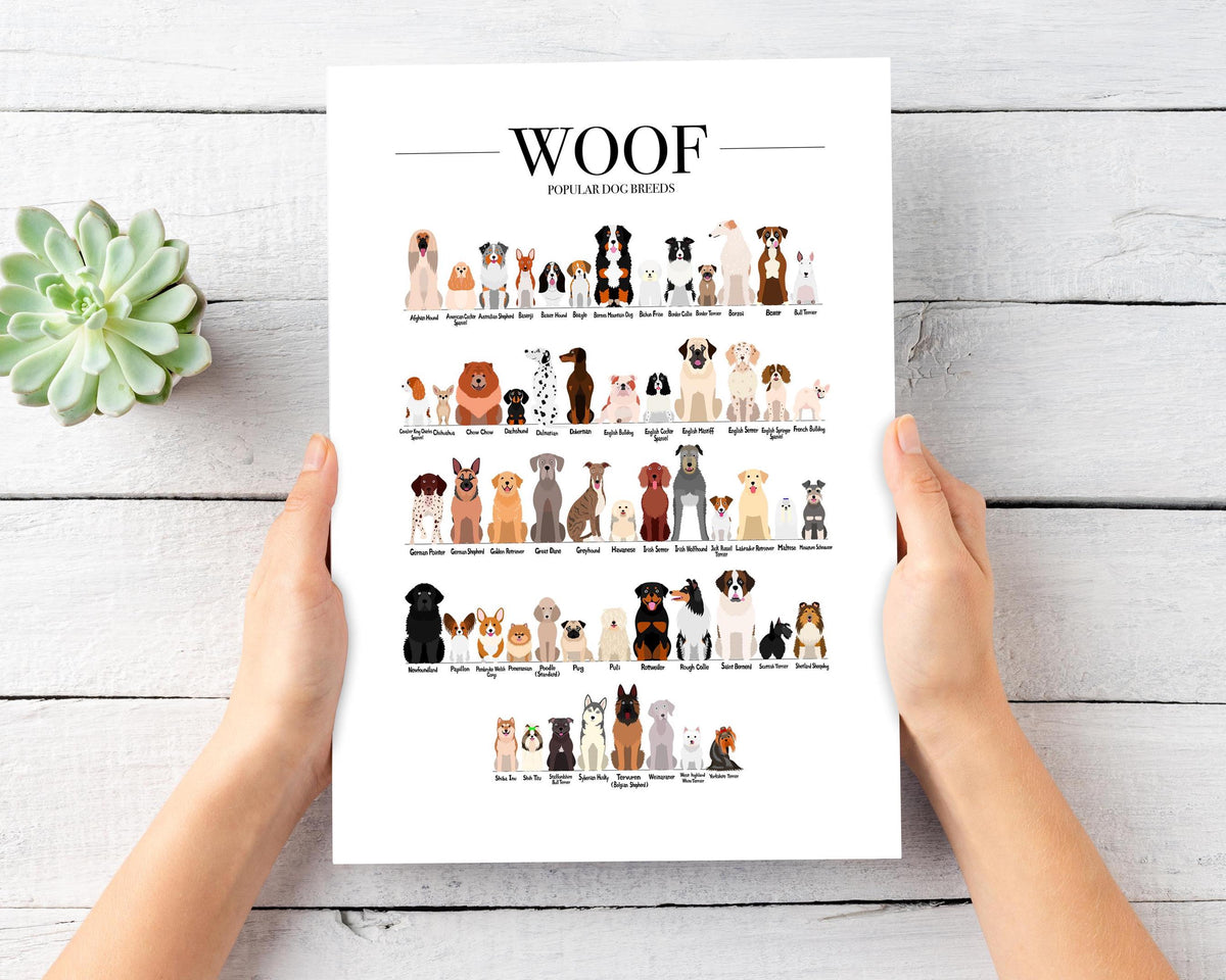 Dog Breeds Art Print, Kitchen Gallery Wall Decor, Birthday Gift for a Animal Lover and a Vet Clinic, Large Dog Poster Print, A3, A4, A5