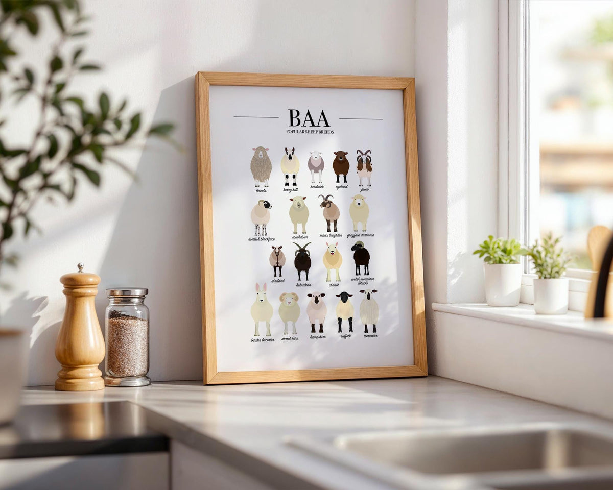 Sheep Breeds Poster, Sheep Art, Farm Kitchen Wall Art, Types Of Animals Poster, Farm Animal Posters For Kids, Sheep Farmer Gift A5 A4 A3