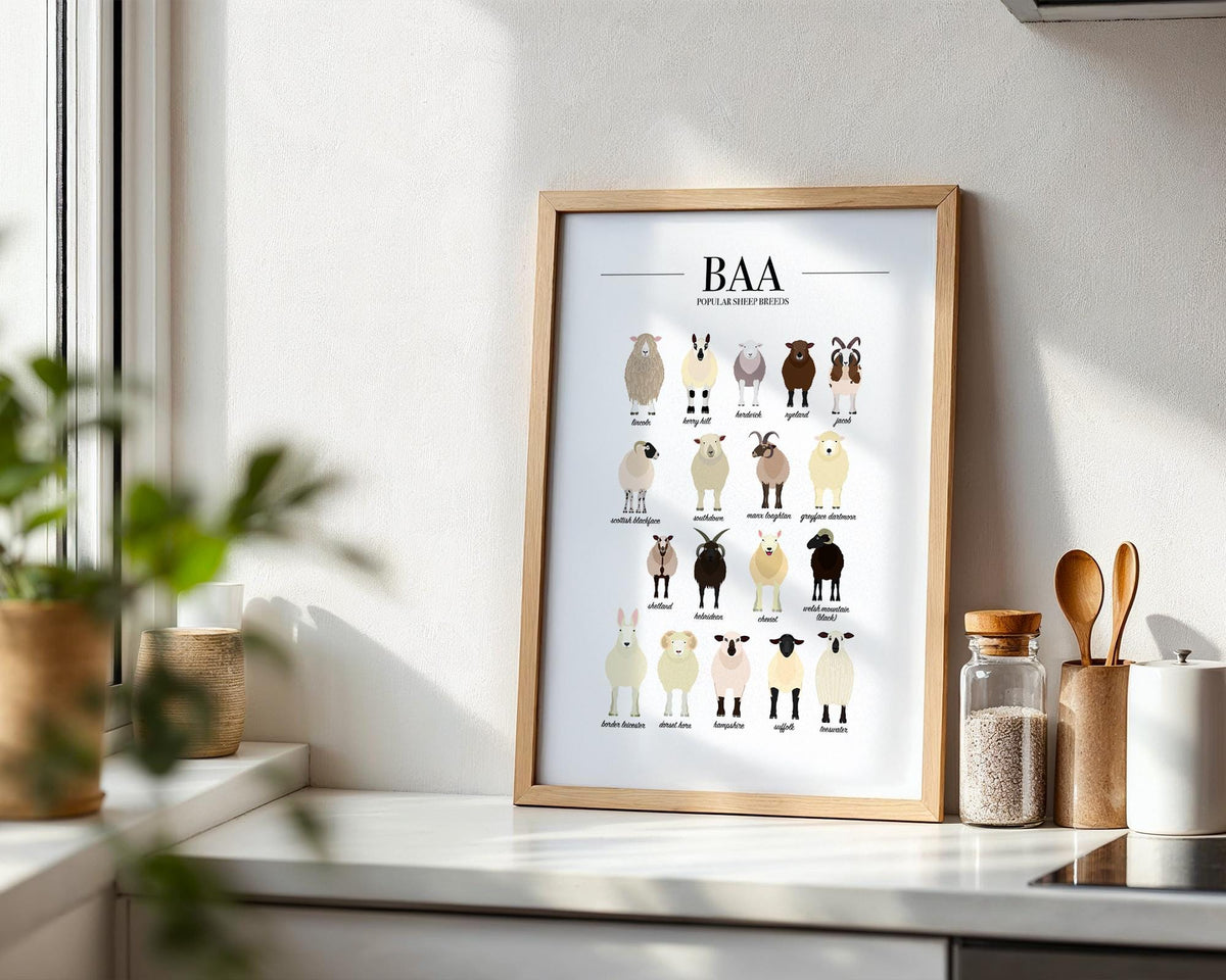 Sheep Breeds Poster, Sheep Art, Farm Kitchen Wall Art, Types Of Animals Poster, Farm Animal Posters For Kids, Sheep Farmer Gift A5 A4 A3