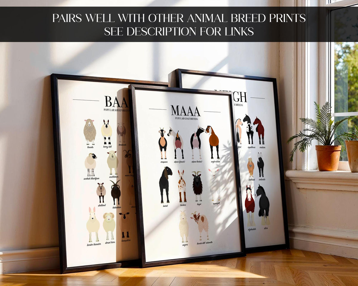 Goat Wall Art, Goat Breeds, Educational Poster Prints, Farmer Gifts, Farm Kitchen Decor, Goat Gift For Men, Animal Prints For Kids A5 A4 A3