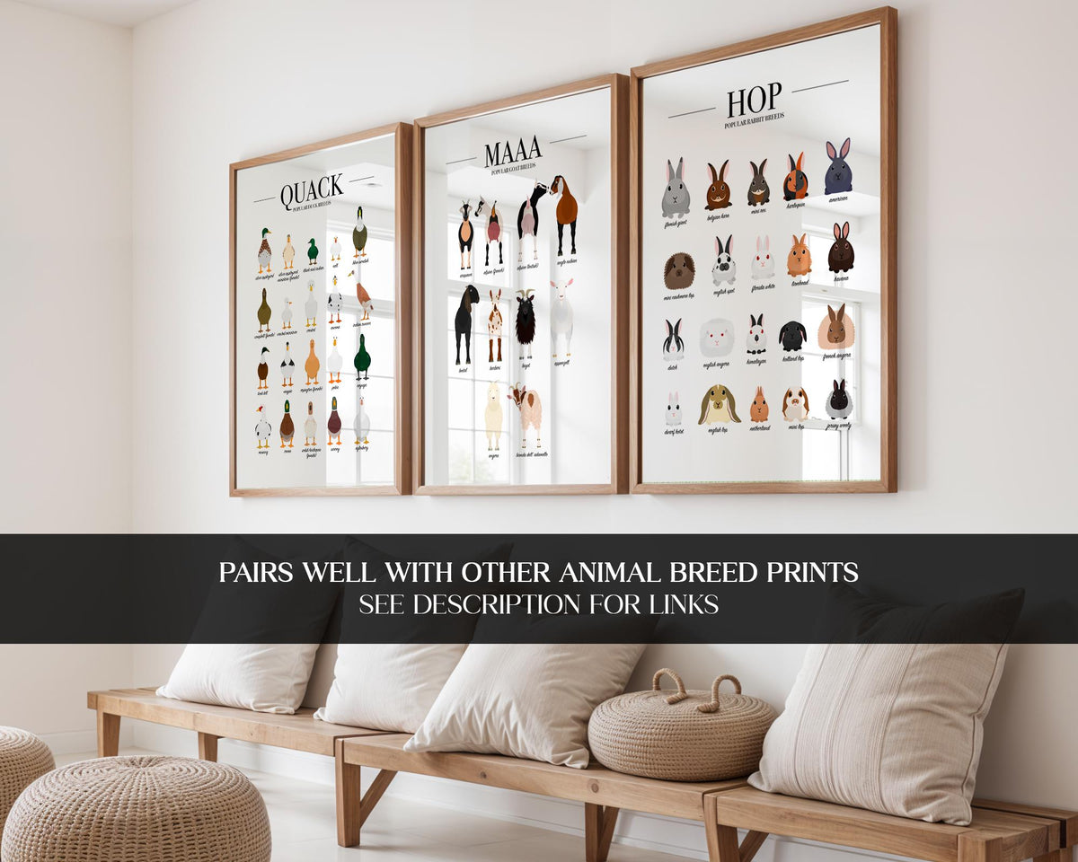 Goat Wall Art, Goat Breeds, Educational Poster Prints, Farmer Gifts, Farm Kitchen Decor, Goat Gift For Men, Animal Prints For Kids A5 A4 A3