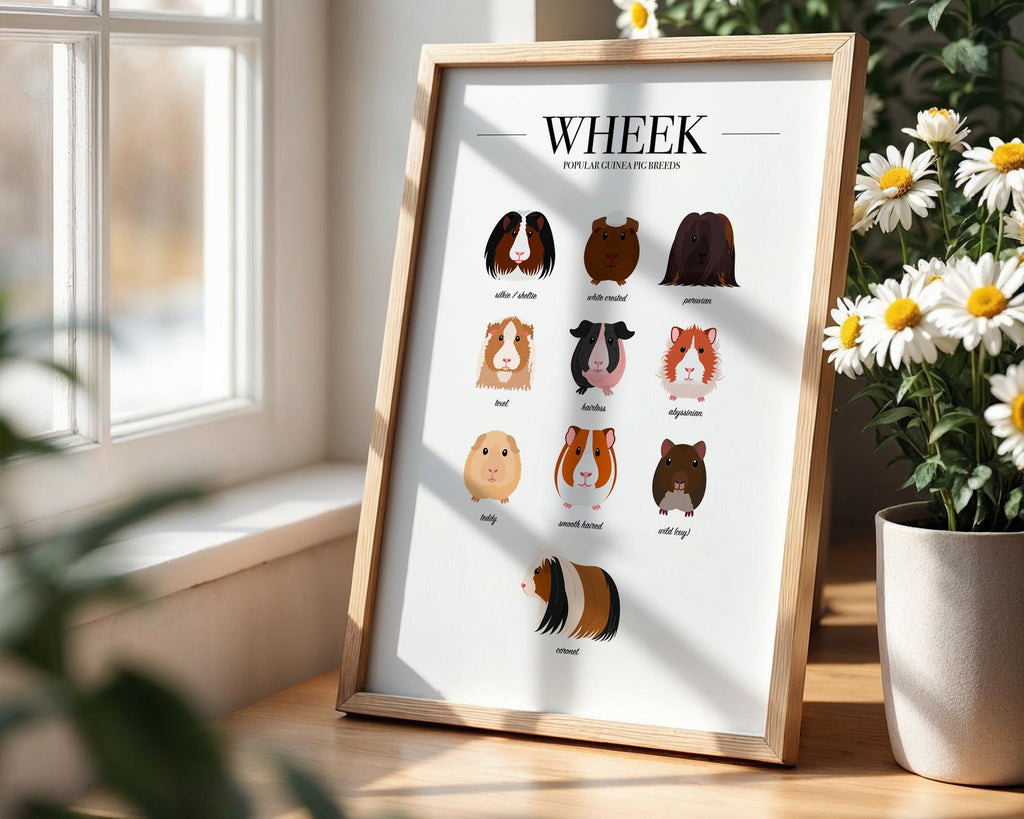 Guinea Pig Prints, Animal Wall Decor, Guinea Pig Wall Art, Animal Wall Hangings, Pet Owner Gifts, Veterinarian Clinic Wall Art A5 A4 A3