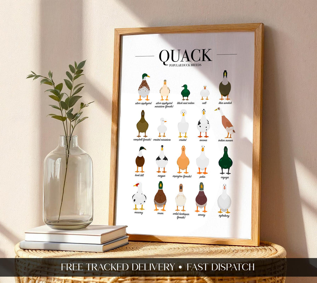Duck Prints, Kitchen Wall Decor, Duck Wall Art Prints, Duck Illustration, Animal Lover Gifts for Women, Animal Playroom Poster A5 A4 A3