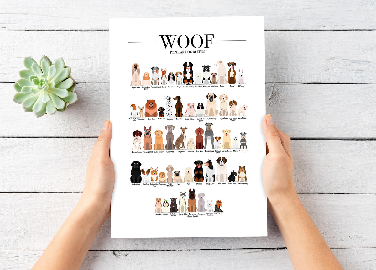 Animal Breeds Poster Bundle, Farm Animal Wall Decor, Farmhouse Wall Art, Dog Breed Gift, Farm Kitchen Prints, Set of 3 Wall Art Prints A4 A3