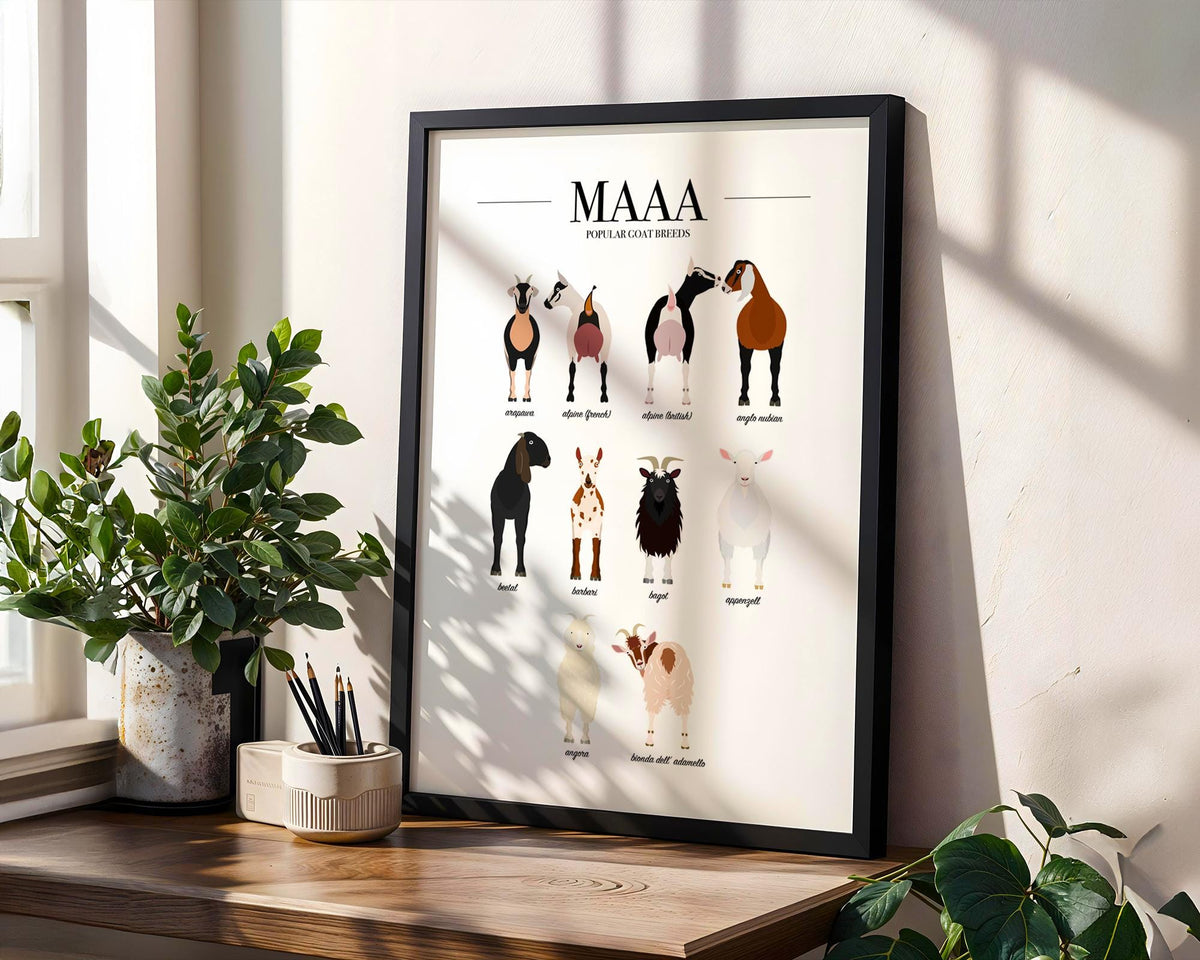 Goat Wall Art, Goat Breeds, Educational Poster Prints, Farmer Gifts, Farm Kitchen Decor, Goat Gift For Men, Animal Prints For Kids A5 A4 A3
