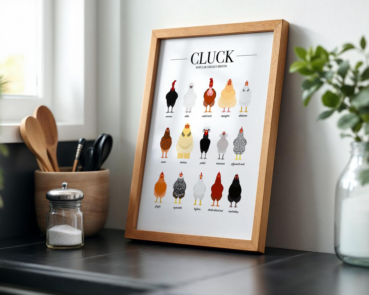 Chicken Print, Farmhouse Kitchen Wall Decor Inspo, Farm Animal Wall Decor, Animal Breed Posters, Chicken Gifts, Bird Wall Prints UK A5 A4 A3