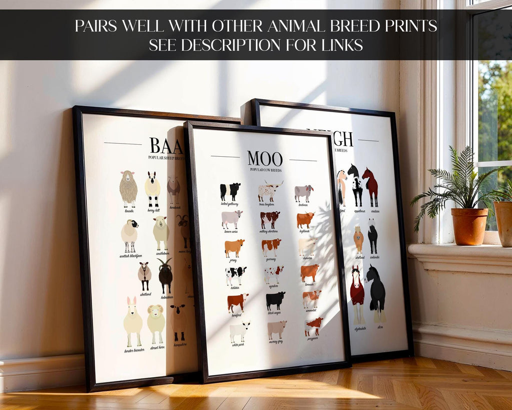 Cow Breeds Poster, Cow Wall Art, Farm Animal Prints For Gallery Wall, Dairy Farm Decor, Farm Veterinarian Gifts, Cow Gifts For Women A4 A3