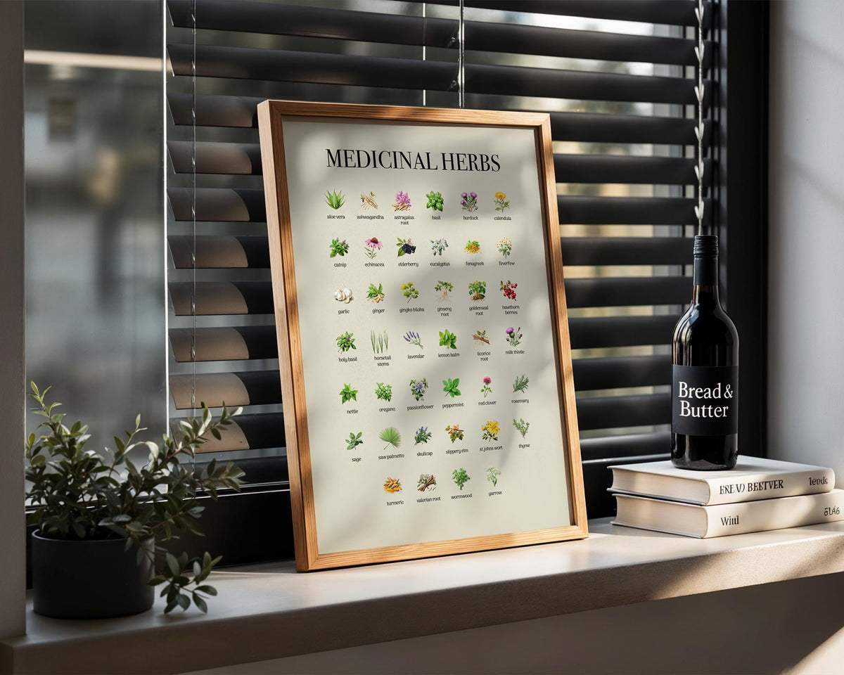 Vintage Herbs Print, Educational Kitchen Poster, Farmhouse Style Wall Art Poster, Botanical Herbal Guide Gift, Herbs Wall Picture
