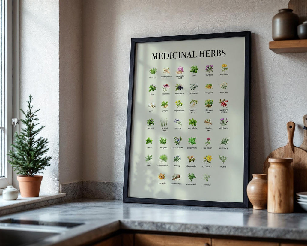 Vintage Herbs Print, Educational Kitchen Poster, Farmhouse Style Wall Art Poster, Botanical Herbal Guide Gift, Herbs Wall Picture