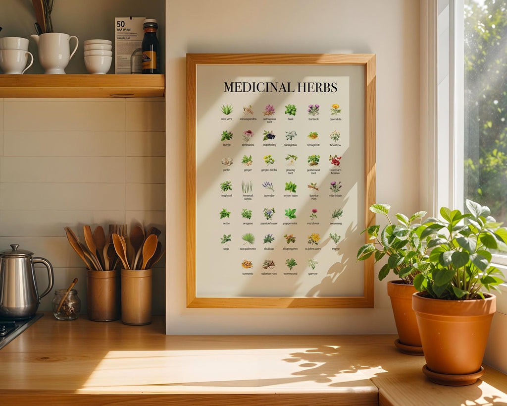 Vintage Herbs Print, Educational Kitchen Poster, Farmhouse Style Wall Art Poster, Botanical Herbal Guide Gift, Herbs Wall Picture
