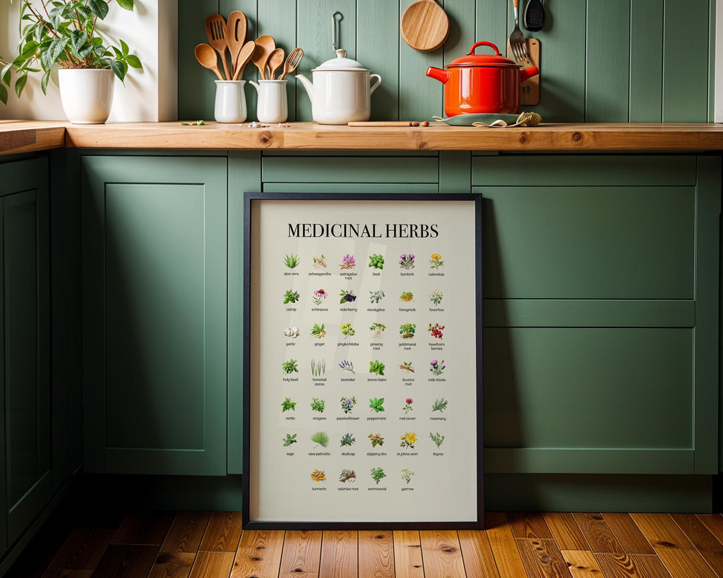 Vintage Herbs Print, Educational Kitchen Poster, Farmhouse Style Wall Art Poster, Botanical Herbal Guide Gift, Herbs Wall Picture