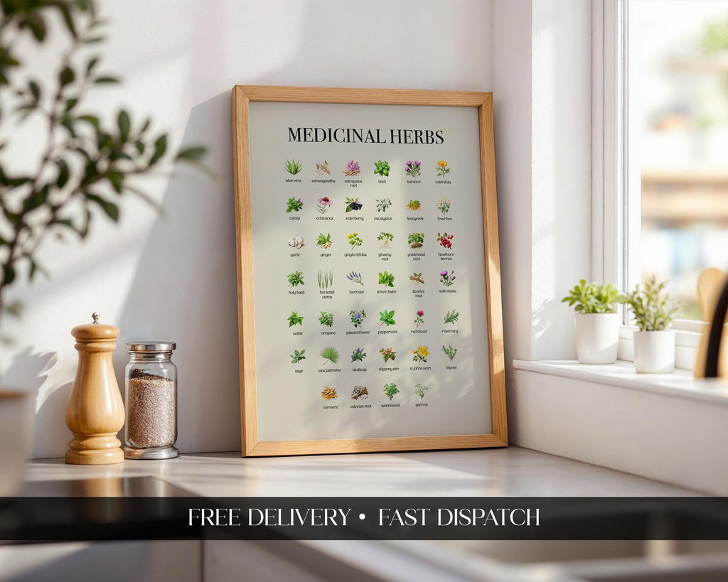 Vintage Herbs Print, Educational Kitchen Poster, Farmhouse Style Wall Art Poster, Botanical Herbal Guide Gift, Herbs Wall Picture