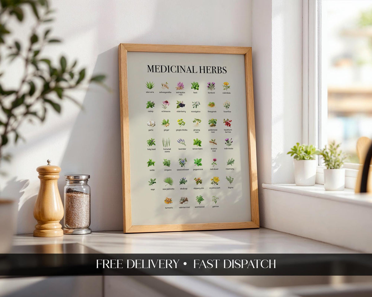 Vintage Herbs Print, Educational Kitchen Poster, Farmhouse Style Wall Art Poster, Botanical Herbal Guide Gift, Herbs Wall Picture