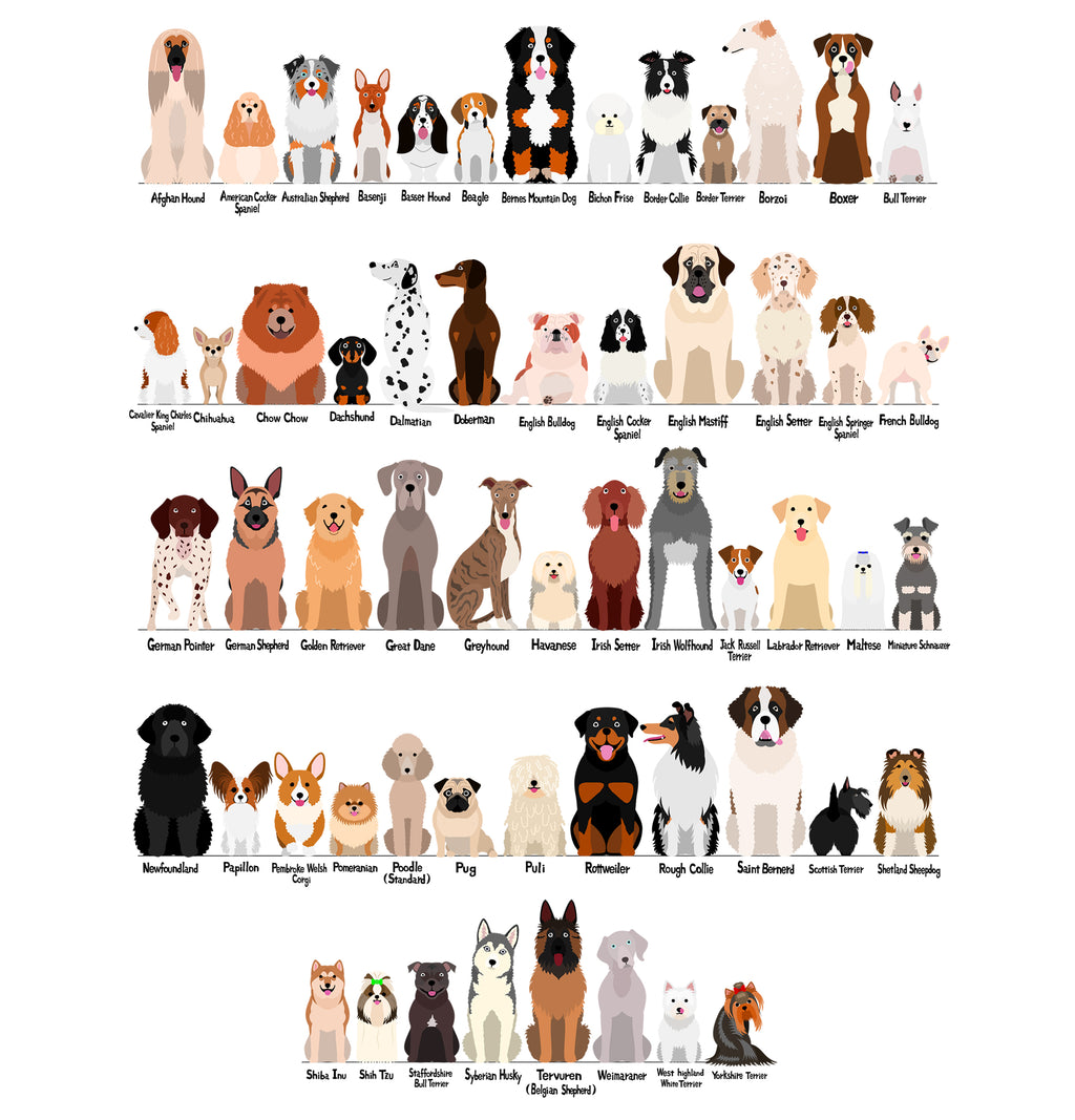 Dog Breeds Animal Print (A3, A4, A5, 5x7, 4x6)