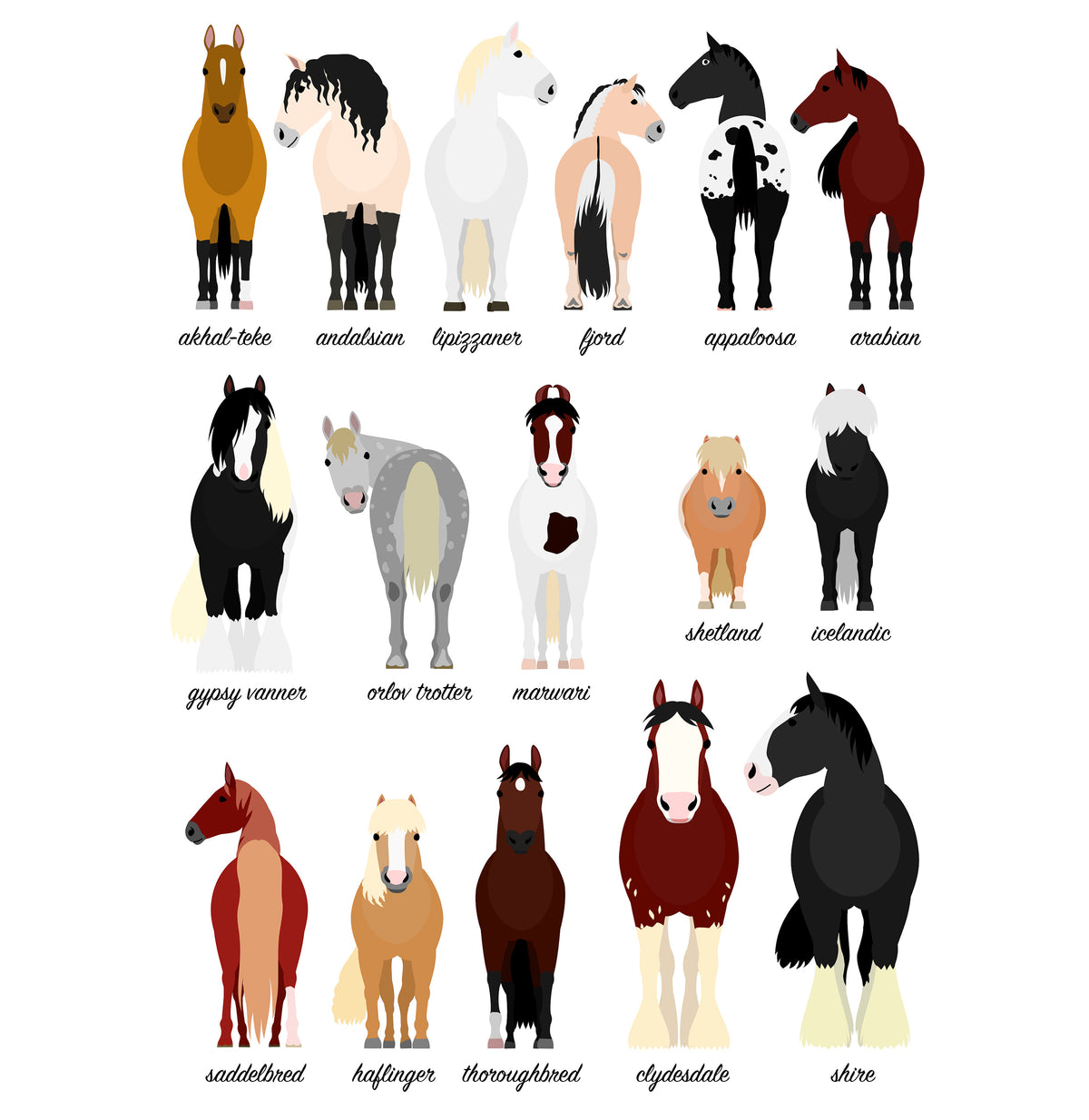 Horse Breeds Animal Print (A3, A4, A5, 5x7, 4x6)